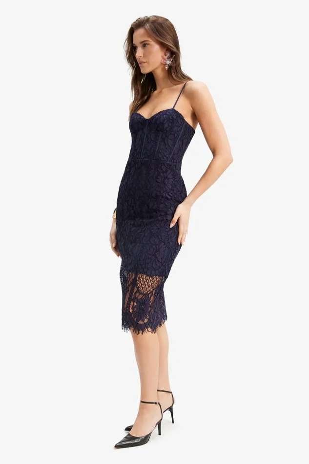 Bardot Occasion Dresses Florence Midi Lace Dress In Navy 8211 Women