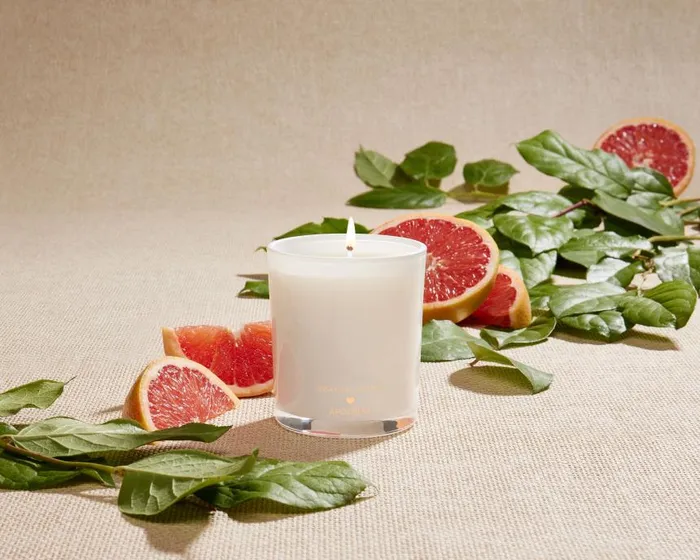 Draper James Lounge and Pajamas Women DJ X Apotheke Candle In Southern Grapefruit