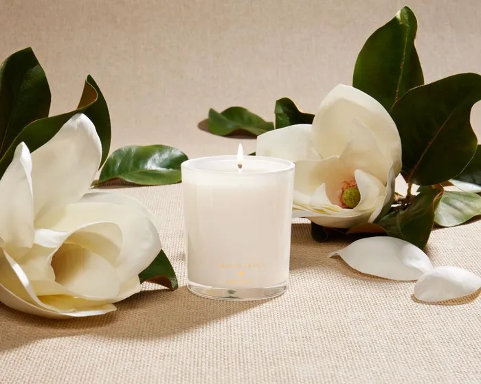 Draper James Lounge and Pajamas Women DJ X Apotheke Candle In White Magnolia
