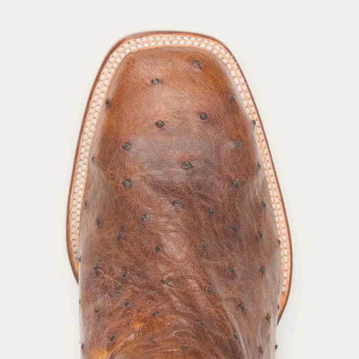Exotics Men Stetson Jackson Boots Brown