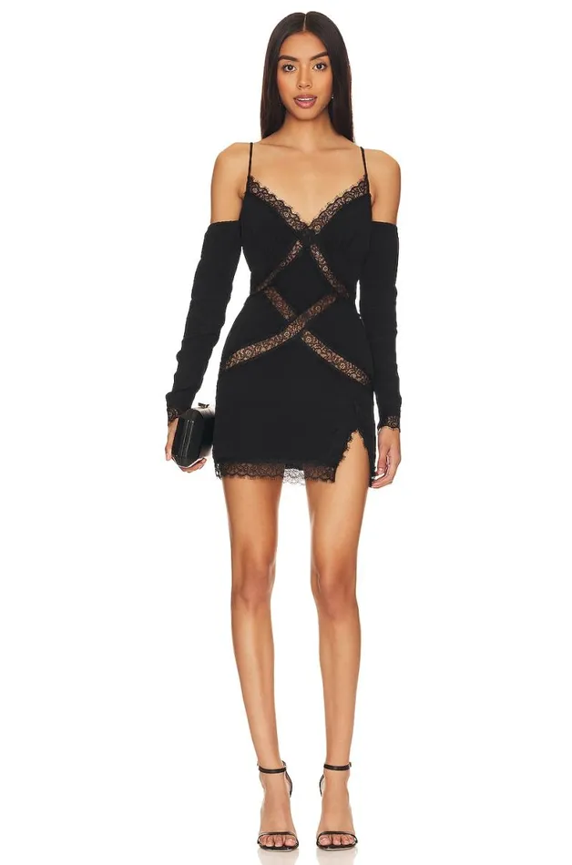 Fuller Mini Dress Black Women Lovers and Friends Dresses