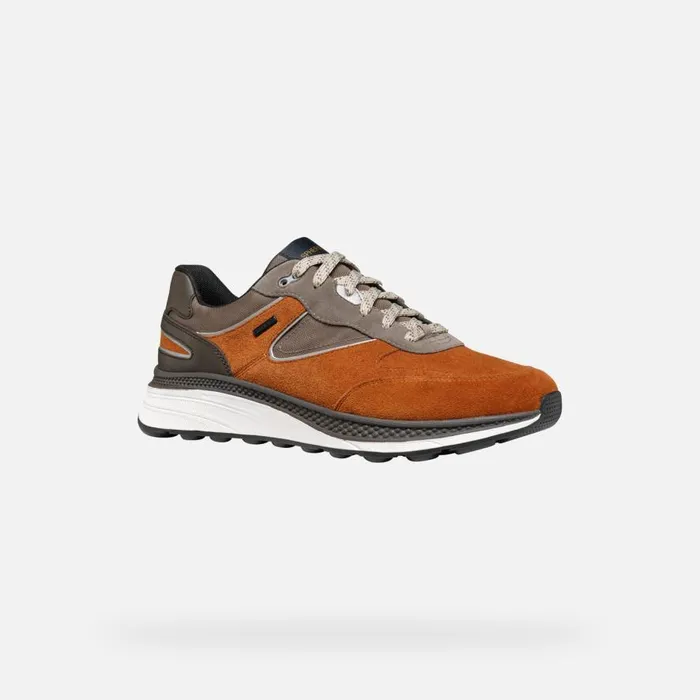 Geox Sneakers SPHERICA ACTIF X1 ABX MAN CognacDesert Low Top Sneakers Cognacdesert 8211 Man