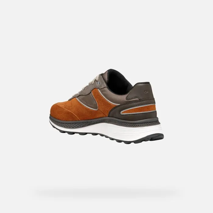 Geox Sneakers SPHERICA ACTIF X1 ABX MAN CognacDesert Low Top Sneakers Cognacdesert 8211 Man