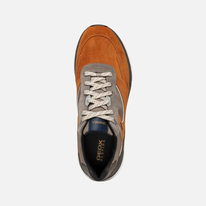 Geox Sneakers SPHERICA ACTIF X1 ABX MAN CognacDesert Low Top Sneakers Cognacdesert 8211 Man