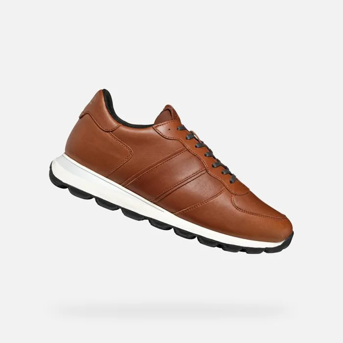 Geox Sneakers SPHERICA VSERIES MAN Light Brown Low Top Sneakers Light Brown 8211 Man