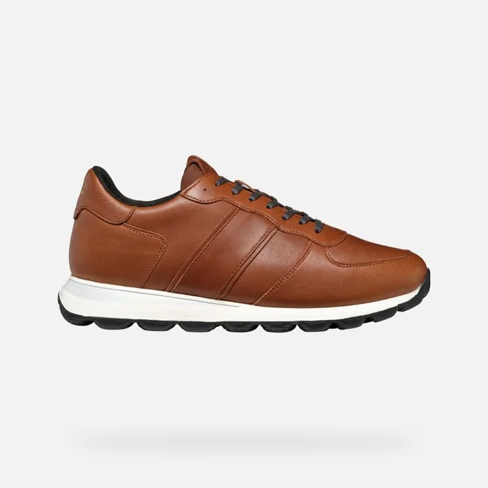 Geox Sneakers SPHERICA VSERIES MAN Light Brown Low Top Sneakers Light Brown 8211 Man