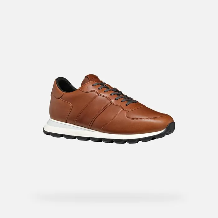 Geox Sneakers SPHERICA VSERIES MAN Light Brown Low Top Sneakers Light Brown 8211 Man