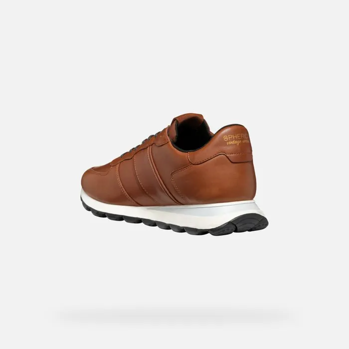 Geox Sneakers SPHERICA VSERIES MAN Light Brown Low Top Sneakers Light Brown 8211 Man