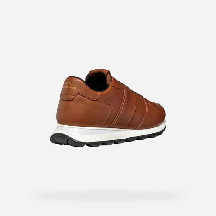Geox Sneakers SPHERICA VSERIES MAN Light Brown Low Top Sneakers Light Brown 8211 Man