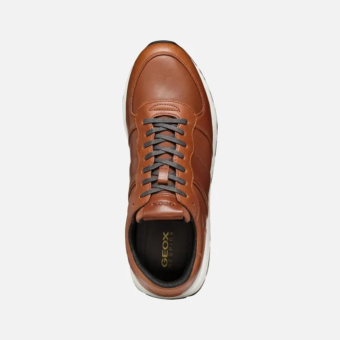 Geox Sneakers SPHERICA VSERIES MAN Light Brown Low Top Sneakers Light Brown 8211 Man