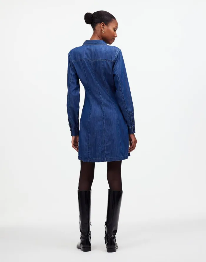 Madewell Denim Seamed Mini Dress In Clearfield Wash Clearfield Wash Women Dresses