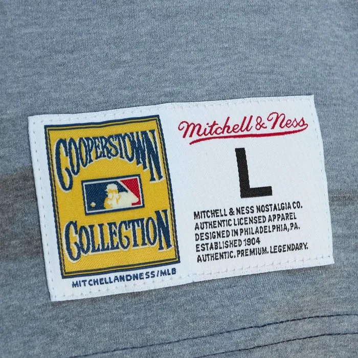 Men039s MLB Mitchell and Ness Highlight Sublimated Player Tee Atlanta Braves Hank Aaron