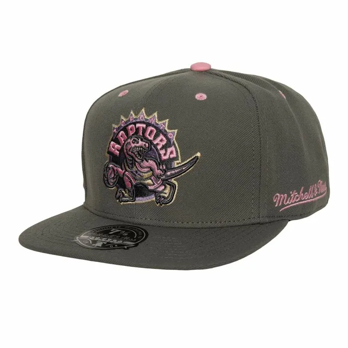 Men039sWomen039s Fitted 163 Styles Mitchell and Ness Lavender Dreams Fitted HWC Toronto Raptors Men039sWomen039s Fitted 163 Styles Mitchell and Ness Lavender Dreams Fitted HWC Toronto Raptors