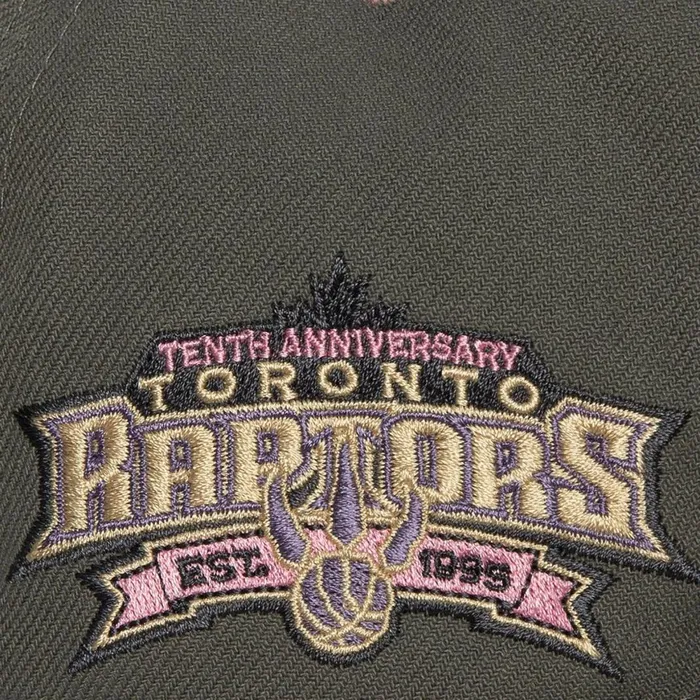 Men039sWomen039s Fitted 163 Styles Mitchell and Ness Lavender Dreams Fitted HWC Toronto Raptors Men039sWomen039s Fitted 163 Styles Mitchell and Ness Lavender Dreams Fitted HWC Toronto Raptors