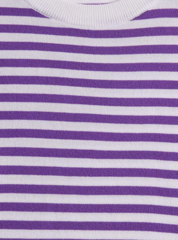 Men Paul Stuart Polos and TShirts Stripe Knit Short Sleeve Crewneck Purplewhite