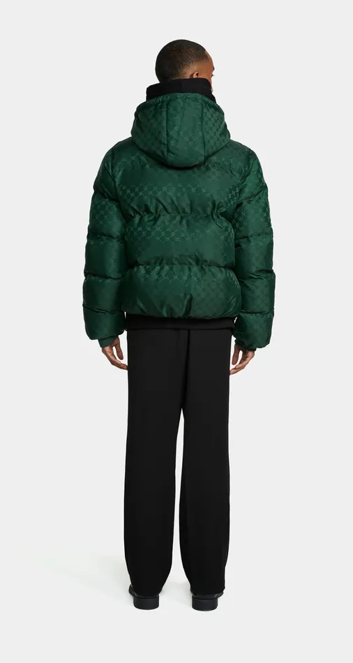 Pine Green Ravan Puffer Jacket Green Men Daily Paper Jackets