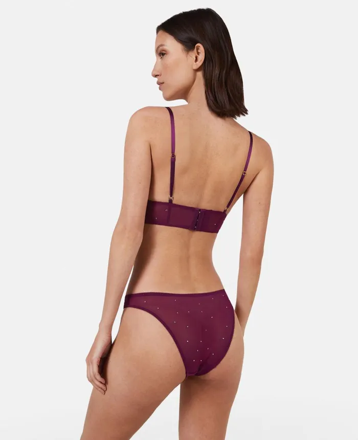 Stella McCartney Crystal Dot Mesh High Leg Briefs Burgundy Women Lingerie And Sleepwear