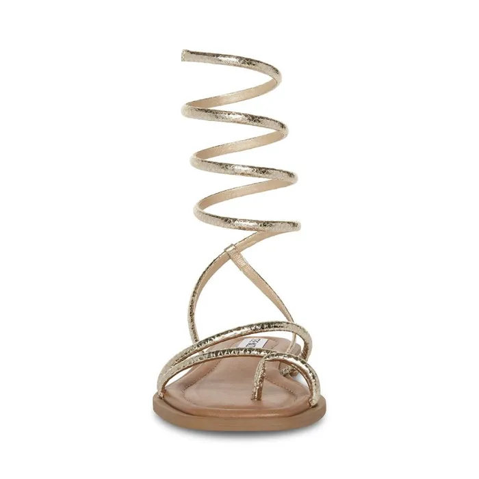Steve Madden Antelle Gold Snake Womens Sandals