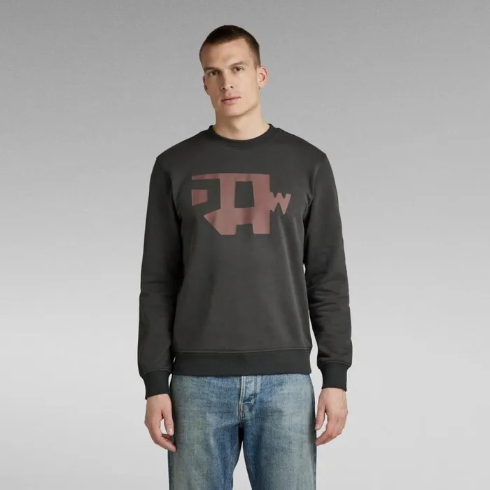 Sweatshirts and Hoodies Men GStar RAW Abstract RAW Sweater Cloack