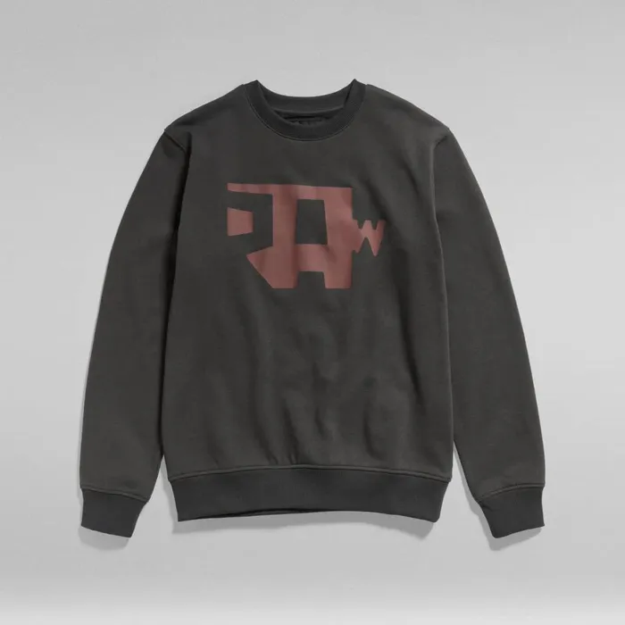 Sweatshirts and Hoodies Men GStar RAW Abstract RAW Sweater Cloack
