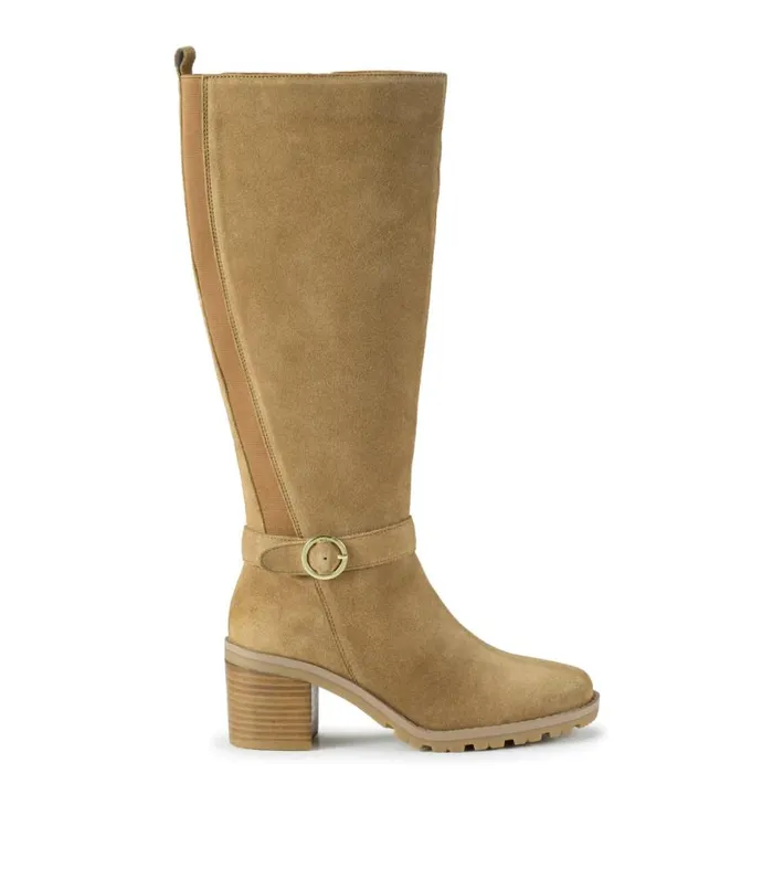 Women Baretraps Knee High Boots Della Tall Boot Cognac Suede Women Baretraps Knee High Boots Della Tall Boot Cognac Suede