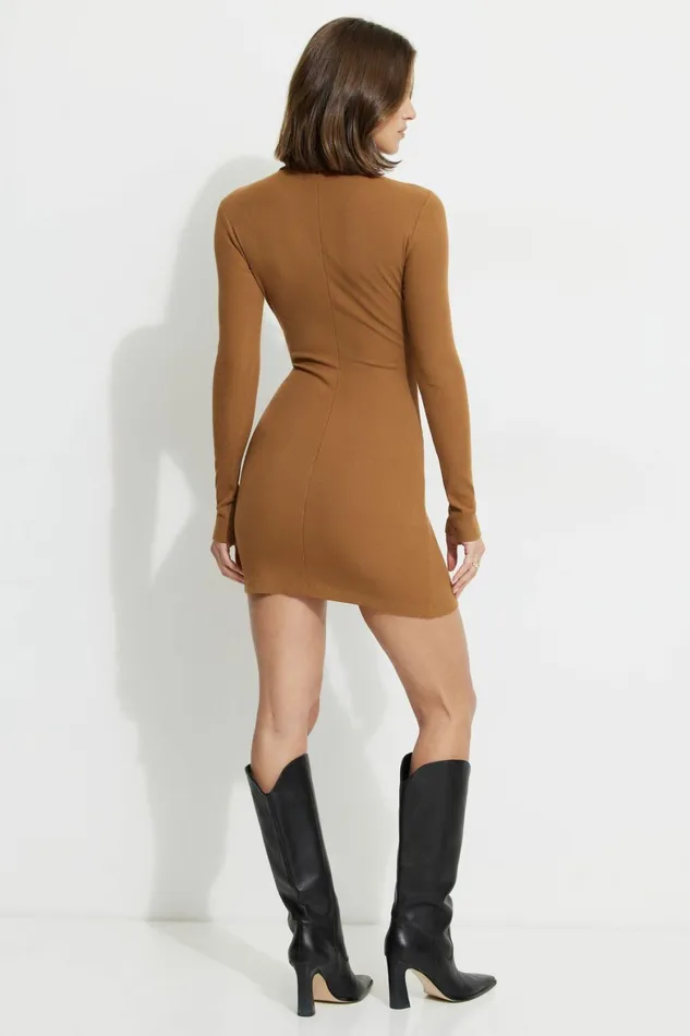 Women Dynamite Dresses and Jumpsuits Isabella Turtleneck Mini Dress Brown