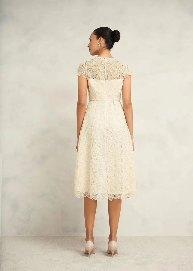 Women HOBBS Dresses and Jumpsuits Johanna Lace Dress Oyster
