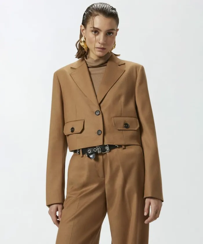 Women Jackets Pinko Singlebreasted Short Blazer In Wool Flannel Walnut Brown