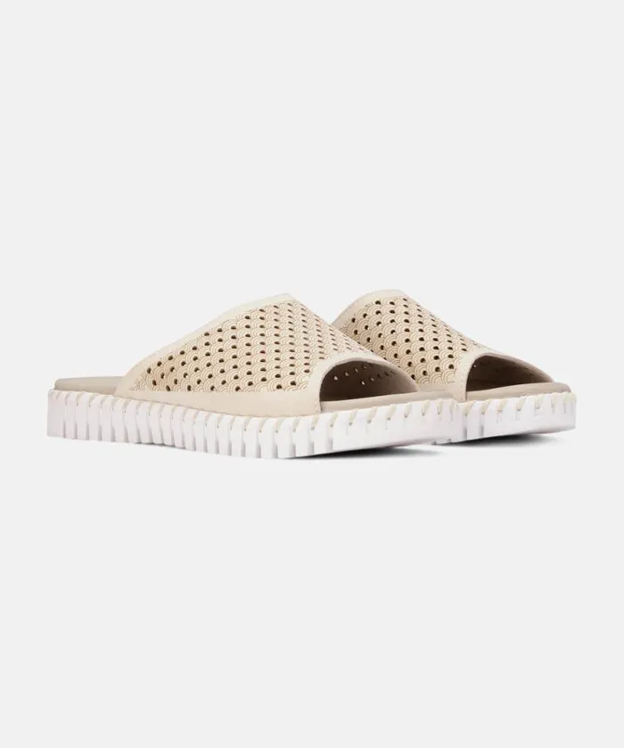 Women Sandals Ilse Jacobsen Sandals 8211 Kit Women Sandals Ilse Jacobsen Sandals 8211 Kit