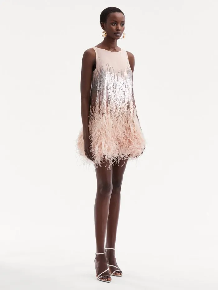 Women Sequin and Feather Embroidered Dress Blush Oscar De La Renta Dresses