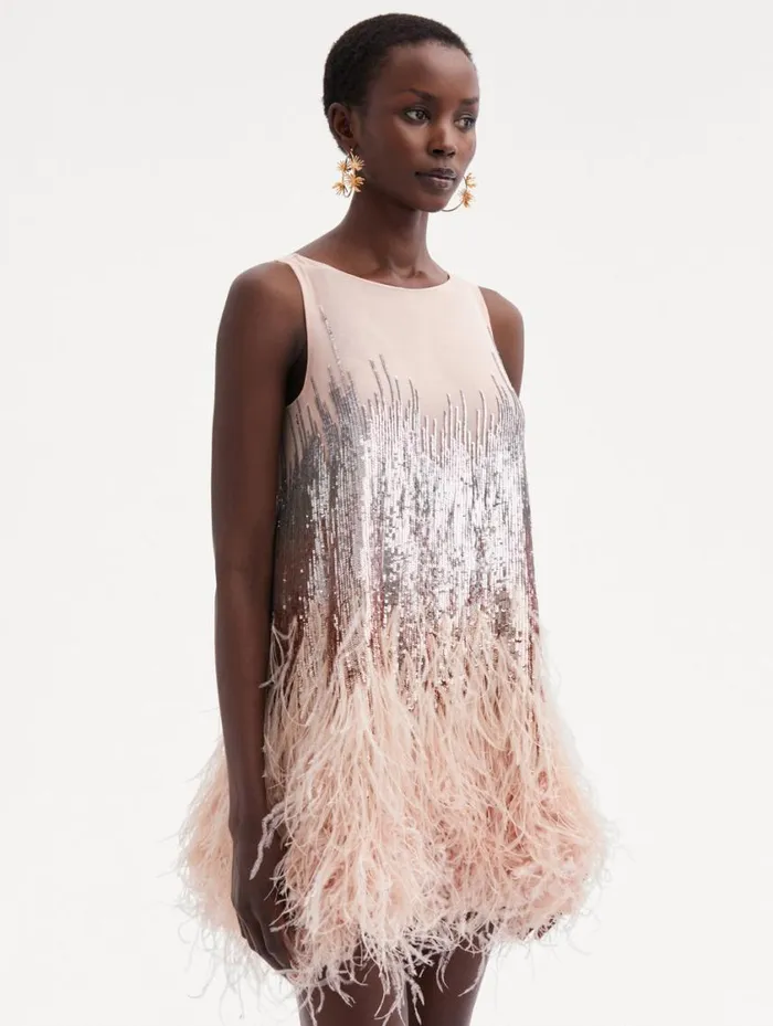 Women Sequin and Feather Embroidered Dress Blush Oscar De La Renta Dresses