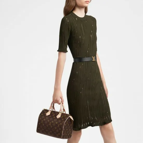 Women Speedy Bag Louis Vuitton Louis Vuitton Speedy 25 M41109 8211 Louis Vuitton Handbag Store