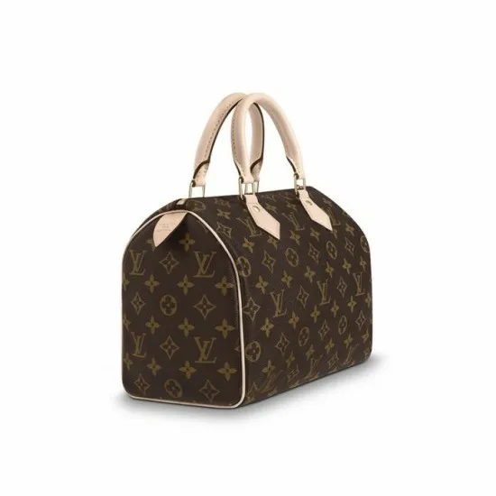 Women Speedy Bag Louis Vuitton Louis Vuitton Speedy 25 M41109 8211 Louis Vuitton Handbag Store