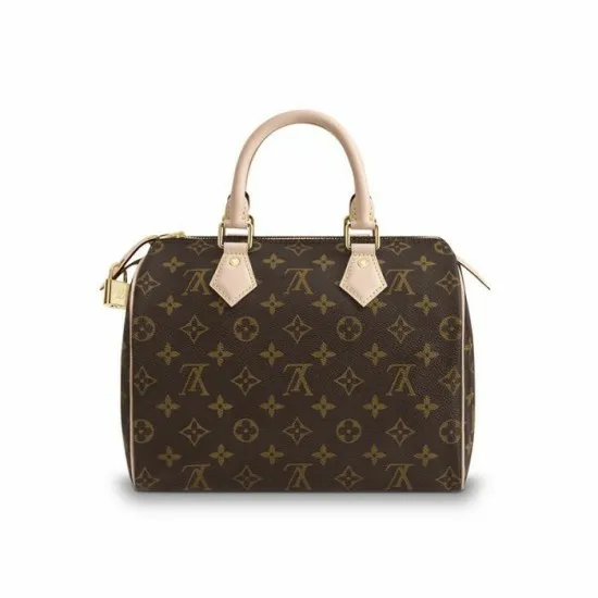 Women Speedy Bag Louis Vuitton Louis Vuitton Speedy 25 M41109 8211 Louis Vuitton Handbag Store